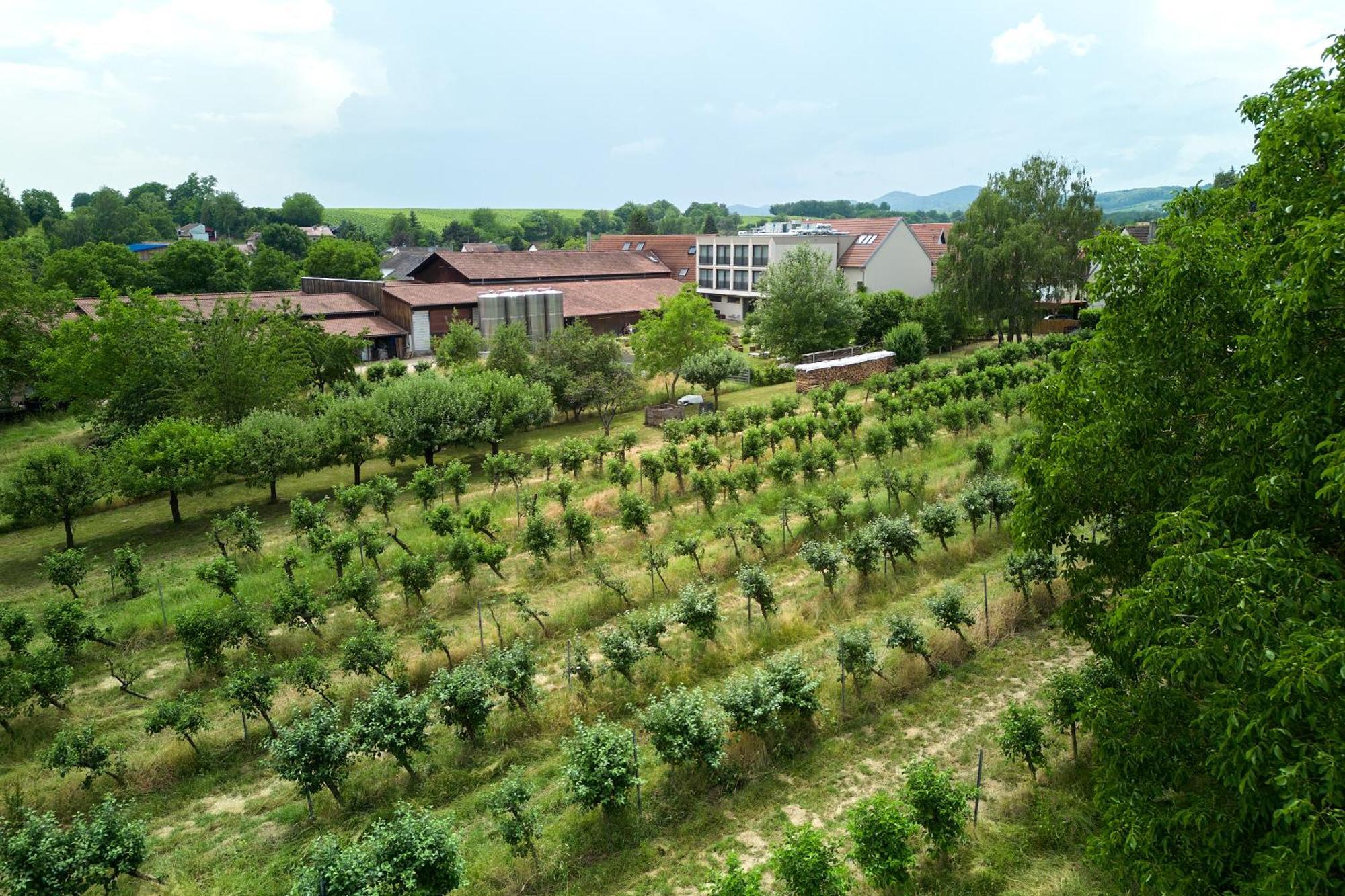 Weinhotel Fritz Walter Niederhorbach 外观 照片